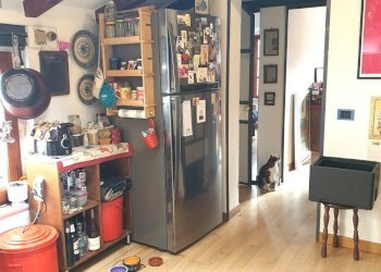 20260306_151602.jpg - Attico Via Massimo D'Azeglio SNC, Parma (zona Oltretorrente) - foto 25