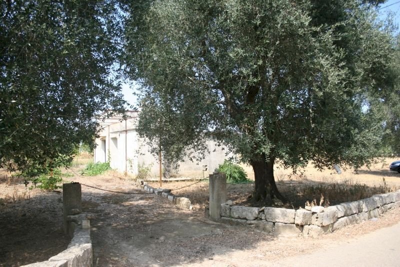 Immagine 062 (800x533).jpg - Terreno agricolo contrada mandrò, Cutrofiano - foto 2