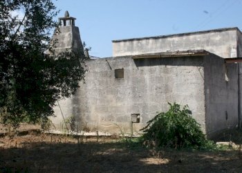 Immagine 002 (800x533).jpg - Terreno agricolo contrada mandrò, Cutrofiano - foto 4