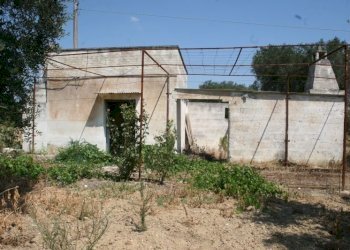 Immagine 004 (800x533).jpg - Terreno agricolo contrada mandrò, Cutrofiano - foto 6