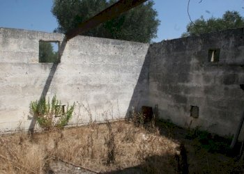 Immagine 011 (800x533).jpg - Terreno agricolo contrada mandrò, Cutrofiano - foto 8