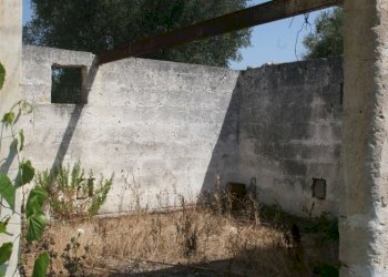 Immagine 014 (800x533).jpg - Terreno agricolo contrada mandrò, Cutrofiano - foto 10