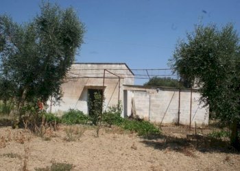 Immagine 018 (800x533).jpg - Terreno agricolo contrada mandrò, Cutrofiano - foto 11