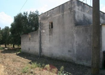 Immagine 006 (800x533).jpg - Terreno agricolo contrada mandrò, Cutrofiano - foto 15