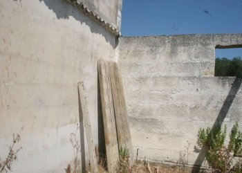 Immagine 012 (800x533).jpg - Terreno agricolo contrada mandrò, Cutrofiano - foto 24