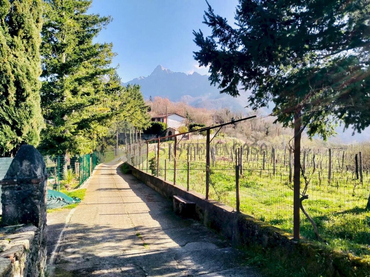 WhatsApp Image 2026-03-05 at 10.15.15.jpeg - Terratetto - Terracielo Via Carlo del Prete 17, Fivizzano - foto 2