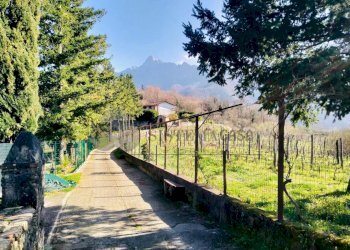 WhatsApp Image 2026-03-05 at 10.15.15.jpeg - Terratetto - Terracielo Via Carlo del Prete 17, Fivizzano - foto 2