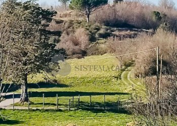 WhatsApp Image 2026-03-05 at 10.15.03 (1).jpeg - Terratetto - Terracielo Via Carlo del Prete 17, Fivizzano - foto 18