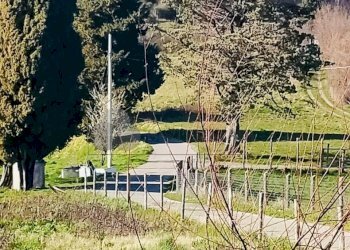 WhatsApp Image 2026-03-05 at 10.15.10.jpeg - Terratetto - Terracielo Via Carlo del Prete 17, Fivizzano - foto 20