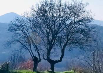 WhatsApp Image 2026-03-05 at 10.15.02 (3).jpeg - Terratetto - Terracielo Via Carlo del Prete 17, Fivizzano - foto 22