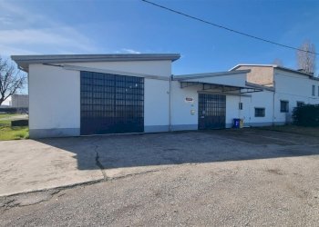 20260218_115003.jpg - Commercial Premises Via Enrico Forlanini, Parma - photo 1