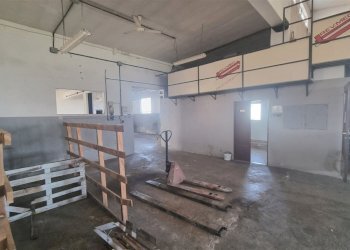 20260218_113906.jpg - Commercial Premises Via Enrico Forlanini, Parma - photo 7