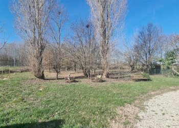 20260218_114045.jpg - Terratetto - Terracielo Via Enrico Forlanini 30, Parma - foto 4