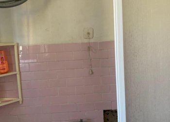 IMG-20260220-WA0005.jpg - Appartamento Camaiore - foto 10