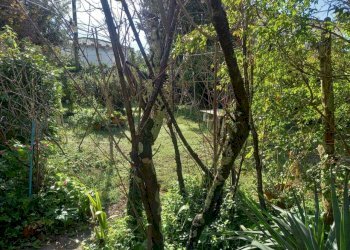 WhatsApp Image 2026-03-11 at 18.28.51.jpeg - Appartamento Camaiore - foto 12