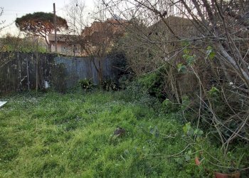 20260320_175754.jpg - Appartamento Camaiore - foto 23