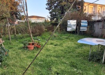 20260320_175757.jpg - Appartamento Camaiore - foto 24