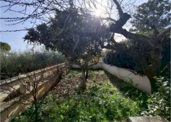 20260115_111058.jpg - Villa Lanciano - foto 11