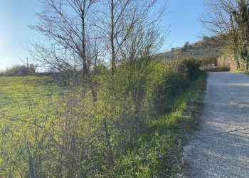 WhatsApp Image 2026-02-26 at 19.02.24 (8).jpeg - Terreno edificabile Via Tiburtina Valeria 68, Tivoli - foto 5