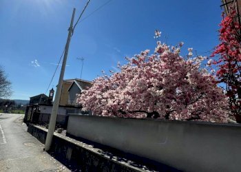 36.jpeg - Independent house Via Milanere 29, Almese - photo 10