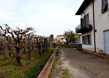 Ext Nord.JPG - Villa Lucca - foto 4