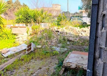 WhatsApp Image 2026-03-10 at 20.53.12.jpeg - Villa Via Del Mandarino 5, Misilmeri - photo 25