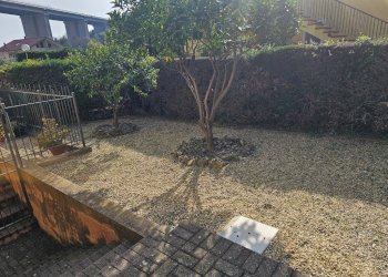 20260307_145933.jpg - Appartamento Via Pairola 44, San Bartolomeo al Mare - foto 6