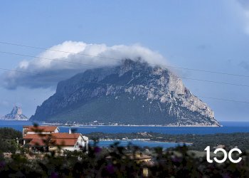 Villa Bifamiliare Loiri Porto San Paolo - foto 2