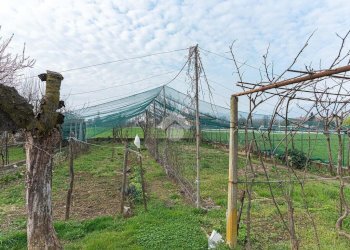 Villa Strada Grange Foglietti, Nole - photo 47