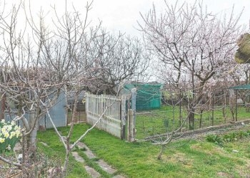 Villa Strada Grange Foglietti, Nole - photo 48