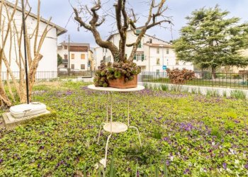 Three-room apartment Borgo Tossignano - photo 4