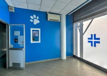 Ufficio Grugliasco - foto 7