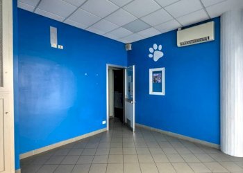 Ufficio Grugliasco - foto 9