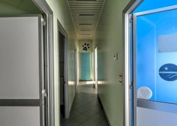 Ufficio Grugliasco - foto 12