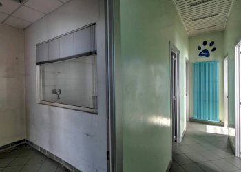 Ufficio Grugliasco - foto 13