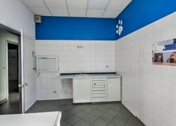 Ufficio Grugliasco - foto 21