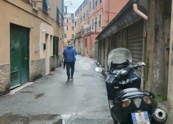 Shop via canevari, Genova (neighborhood Marassi) - photo 18