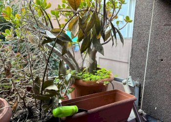 Monolocale Via Diego Guicciardi, Milano (zona Maciachini) - foto 11