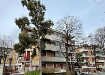 Trilocale Via Marmolada, Milano (zona Niguarda) - foto 2