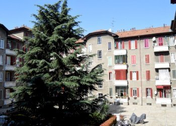 Trilocale Via jacopino da tradate, Milano - foto 17