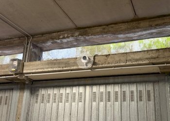 Box Piazza Ruggero Bonghi, Torino (zona Madonna Campagna) - foto 13