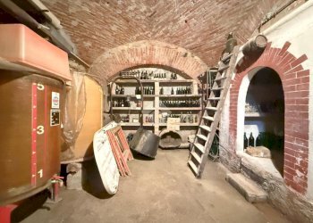 Casa semi indipendente Frazione Gaggina, Montaldo Bormida - foto 28