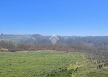 Casa semi indipendente Frazione Gaggina, Montaldo Bormida - foto 32