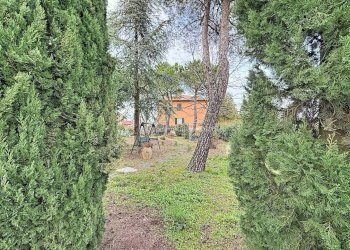 Terraced Villa Via Macchione, 8, Dozza - photo 28