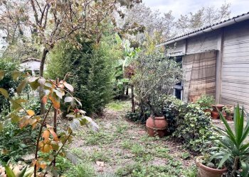 Townhouse Montelupo Fiorentino - photo 4