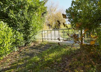 Villa a Schiera Palagano - foto 23