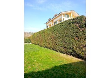 Trilocale Montegrosso d'Asti - foto 3