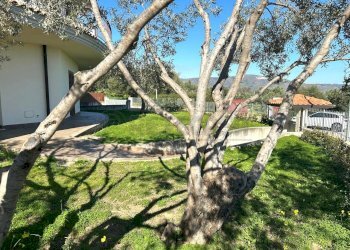 04327d12-54f4-4aa9-a68e-7f0b7a6a19c2.jpg - Villa via della pace  1, Soverato - foto 4