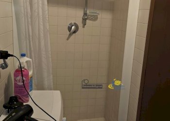 20250430_101326.jpg - Appartamento Via Felice Cavallotti 44, Parma - foto 23