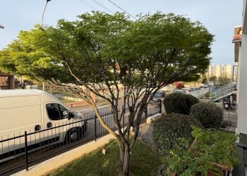 IMG_E5548.jpg - Villa Trifamiliare Via Torino, Collecchio - foto 3